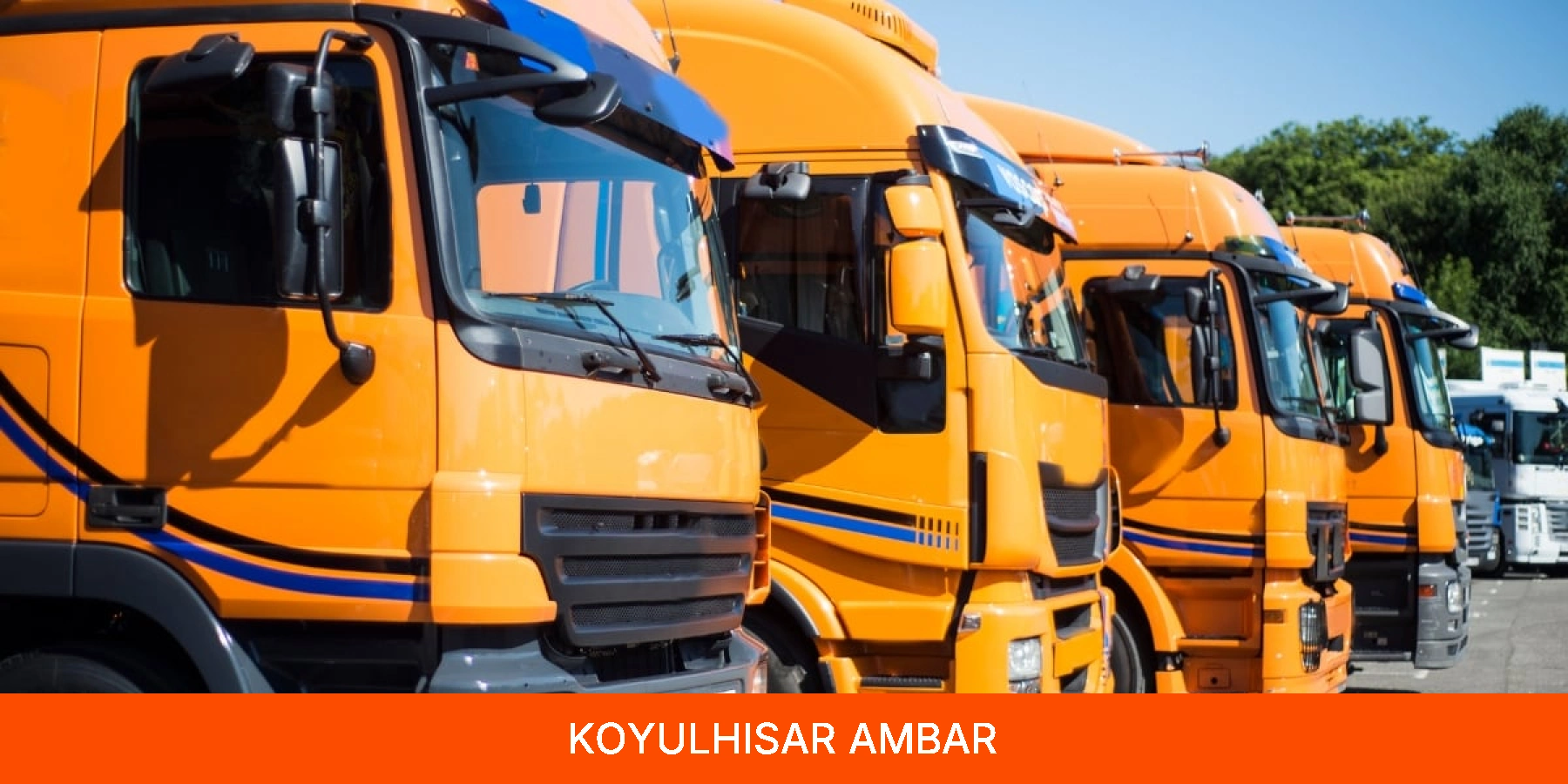 Koyulhisar Ambar