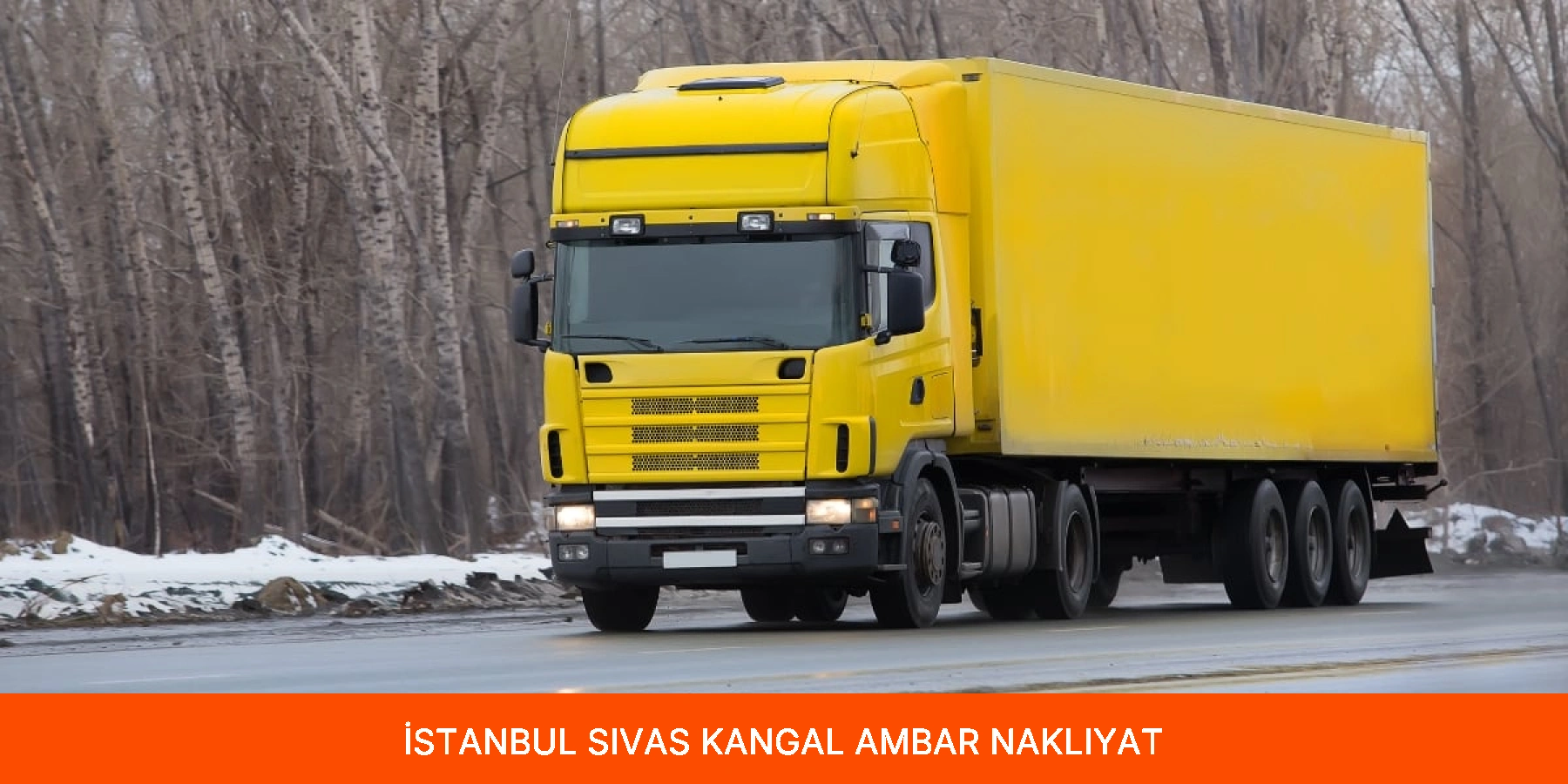 Kangal Ambar