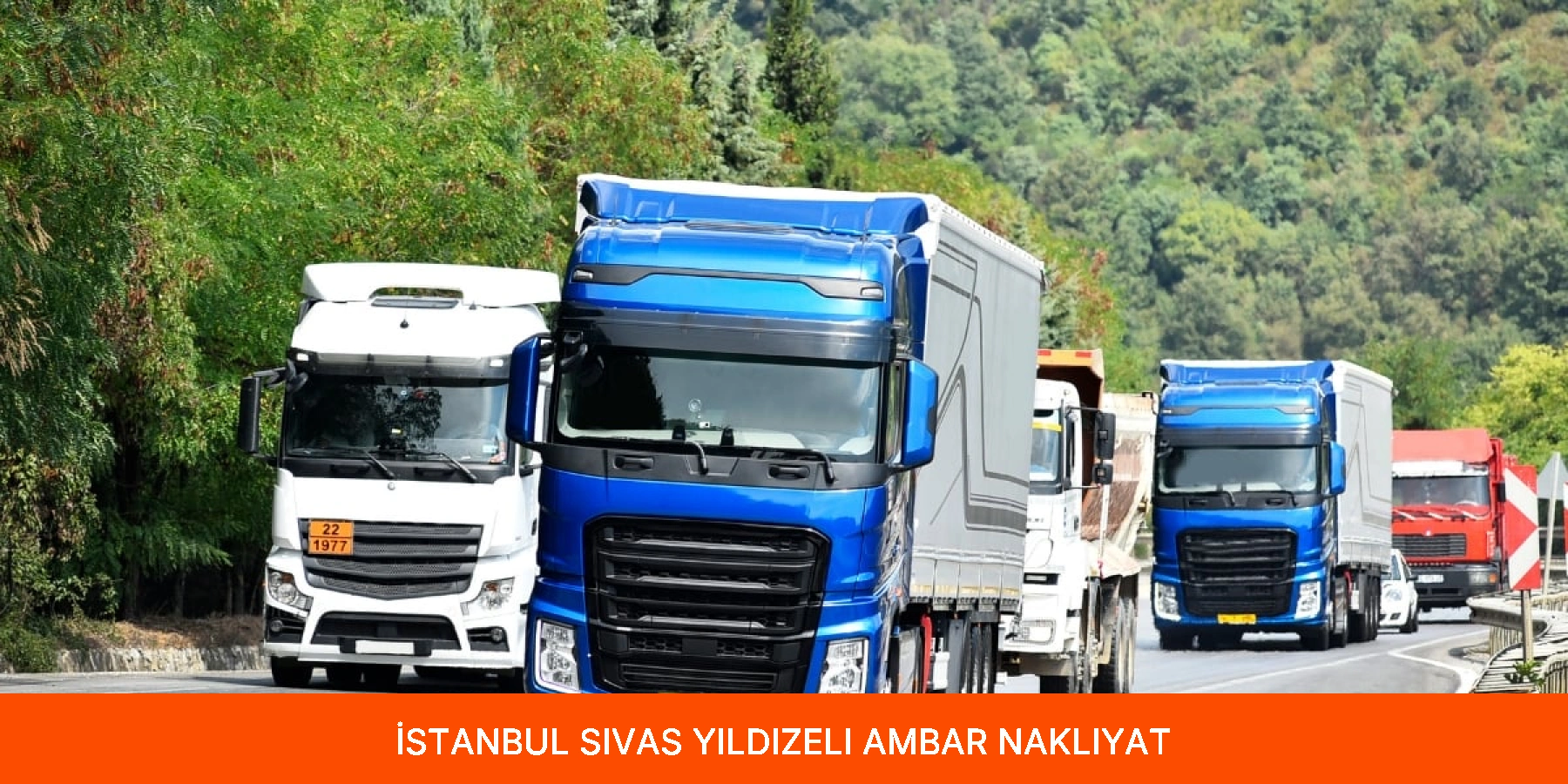 Yıldızeli Ambar